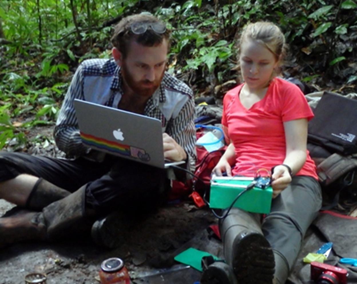 Workshop in the forest